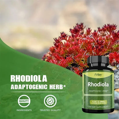 Rhodiola Performance Enhancer
